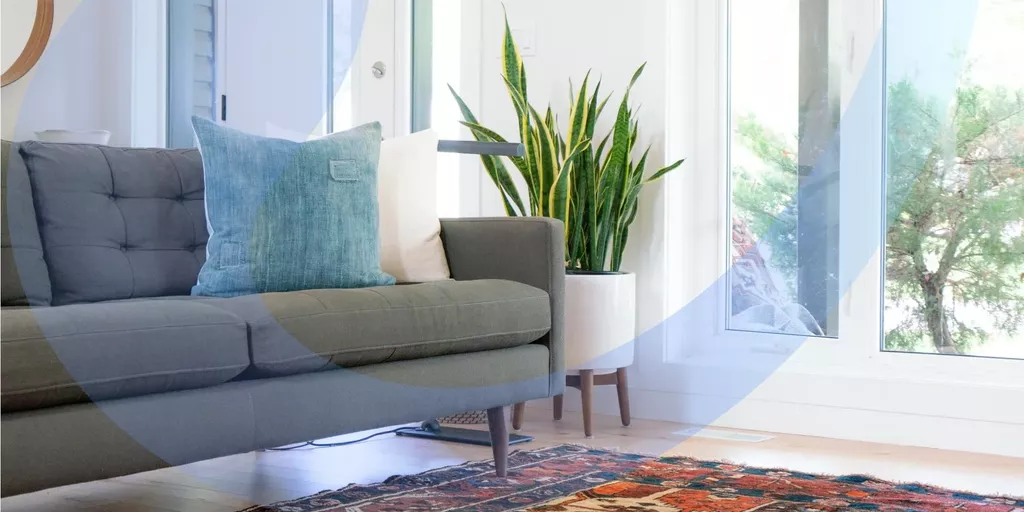 Light filled living room with fresh air