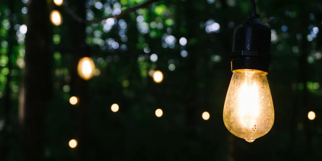 Outdoor string lights glowing in a garden at dusk